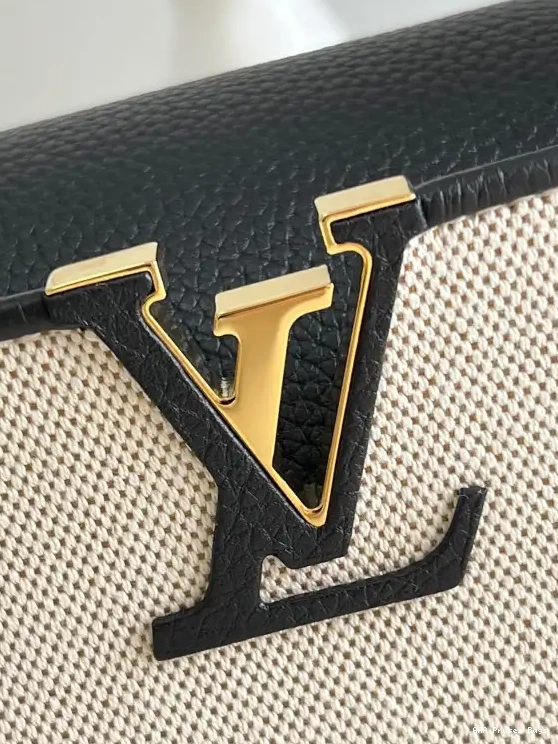 AAA Replica Ru MINI VUITTON CAPUCINES LOUIS 0604